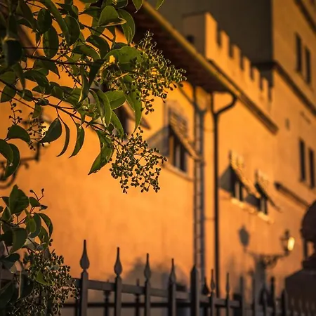Somelli Empoli
